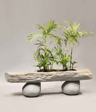 Stone Plant Pot, stone planters, stone planters outdoor, outdoor stone planters