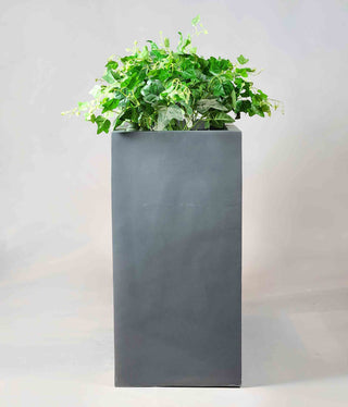 Modern Planters can be used as modern outdoor planters/modern indoor planters.