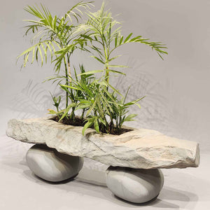 Designer planters, Stone Effect Planters, Designer Planters Indoor, Designer Planters outdoor