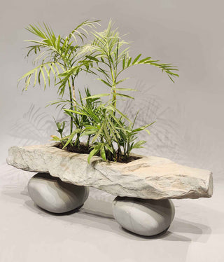 Designer planters, Stone Effect Planters, Designer Planters Indoor, Designer Planters outdoor