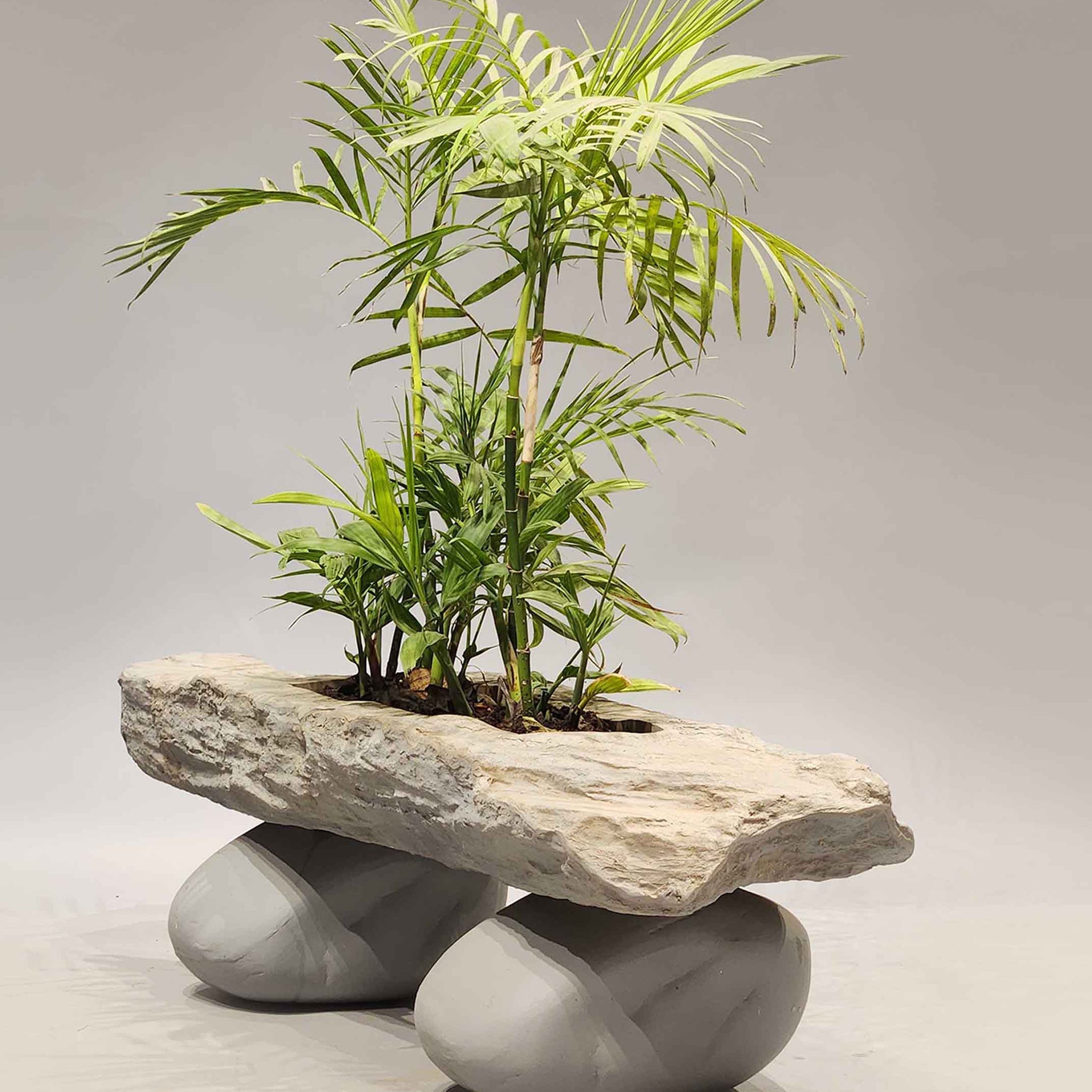 Designer planters, Stone Effect Planters, Designer Planters Indoor, Designer Planters outdoor