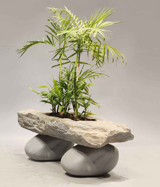 Designer planters, Stone Effect Planters, Designer Planters Indoor, Designer Planters outdoor