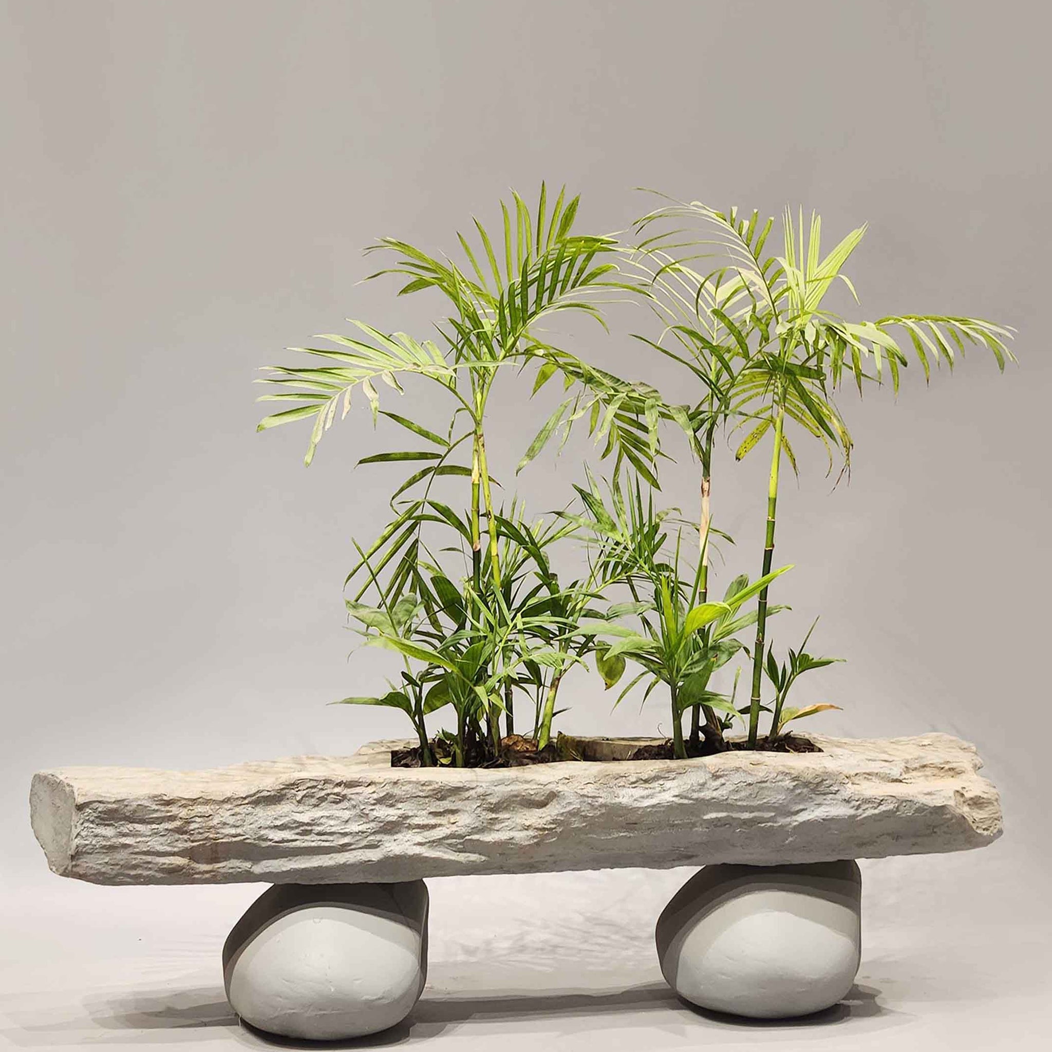 Designer planters, Stone Effect Planters, Designer Planters Indoor, Designer Planters outdoor