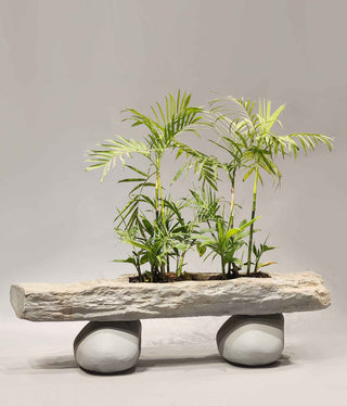 Designer planters, Stone Effect Planters, Designer Planters Indoor, Designer Planters outdoor